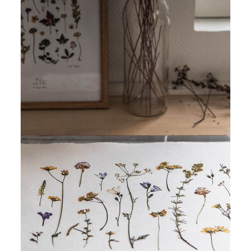 Blomster Collection II - Lise Kryger Studio