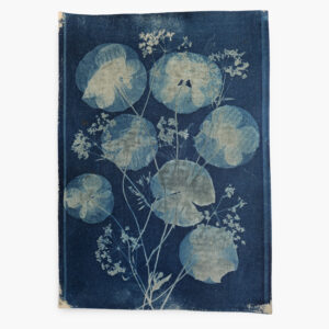 Cyanotype: Poppies. Lise Kryger Studio
