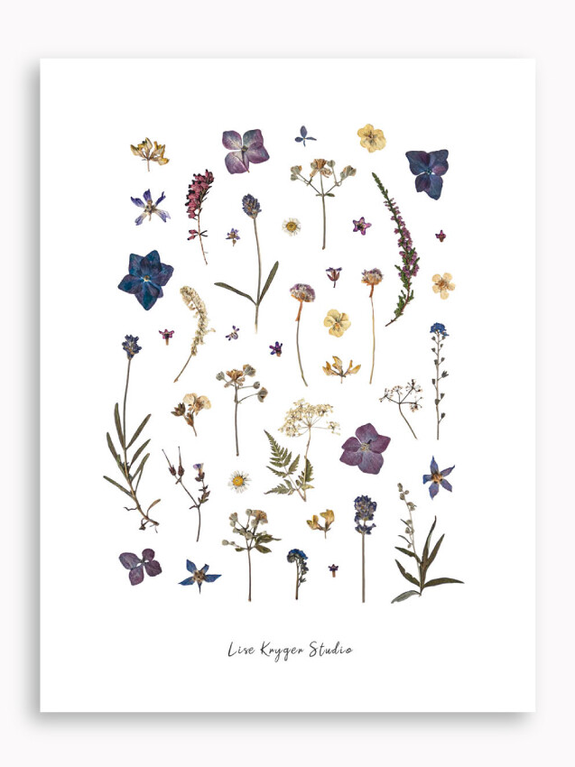 Blomsterprint: Summerblue. Lise Kryger Studio